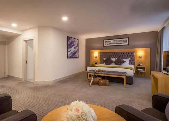 酒店 克莱顿酒店都柏林，伯灵顿路