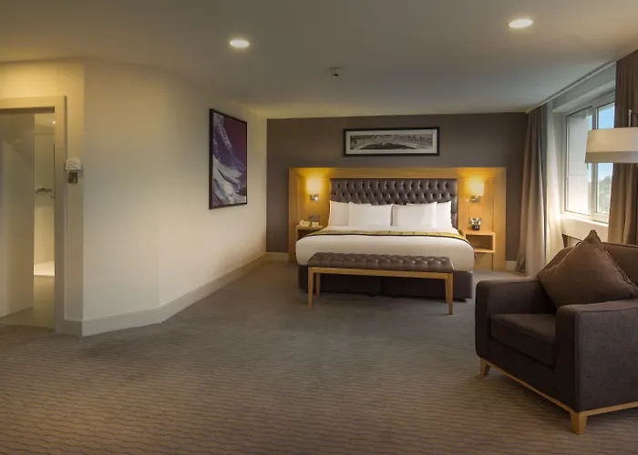 Clayton Burlington Road 4* Dublino